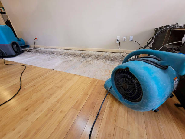 Professional Ceiling Water Damage Repair technician working in Garwood, NJ
